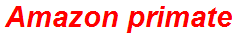 Amazon primate