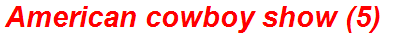 American cowboy show (5)