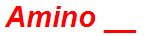 Amino __