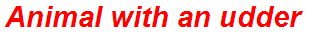 Animal with an udder