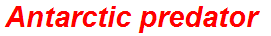 Antarctic predator