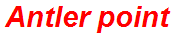 Antler point