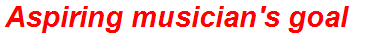 Aspiring musician's goal