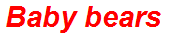 Baby bears