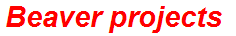 Beaver projects