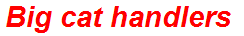 Big cat handlers