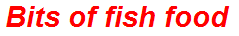 Bits of fish food