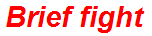 Brief fight