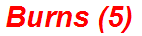 Burns (5)