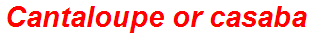 Cantaloupe or casaba