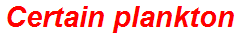 Certain plankton