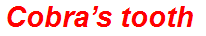 Cobra’s tooth