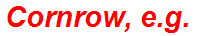 Cornrow, e.g.