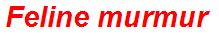 Feline murmur