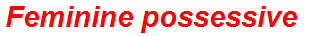 Feminine possessive