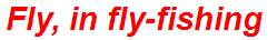 Fly, in fly-fishing