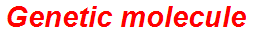 Genetic molecule