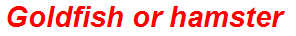 Goldfish or hamster
