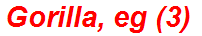 Gorilla, eg (3)