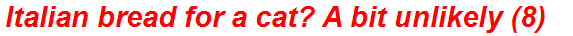 Italian bread for a cat? A bit unlikely (8)