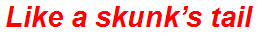 Like a skunk’s tail