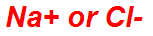 Na+ or Cl-