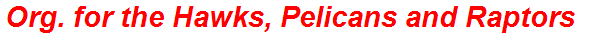 Org. for the Hawks, Pelicans and Raptors