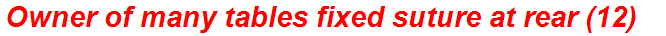 Owner of many tables fixed suture at rear (12)
