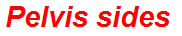 Pelvis sides