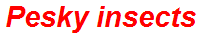 Pesky insects