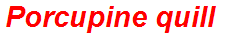 Porcupine quill