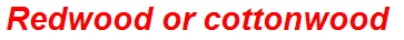 Redwood or cottonwood