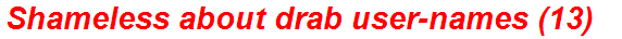 Shameless about drab user-names (13)