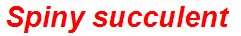 Spiny succulent