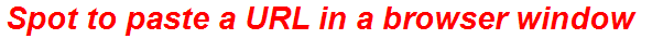 Spot to paste a URL in a browser window