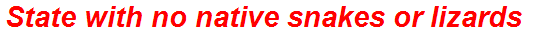 State with no native snakes or lizards