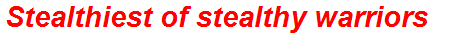 Stealthiest of stealthy warriors