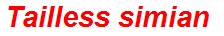 Tailless simian