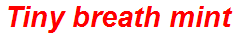 Tiny breath mint