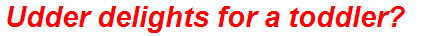 Udder delights for a toddler?