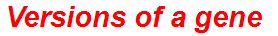 Versions of a gene