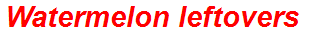 Watermelon leftovers