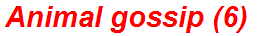 Animal gossip (6)