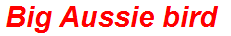 Big Aussie bird