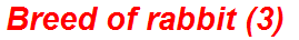 Breed of rabbit (3)