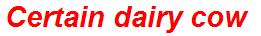 Certain dairy cow