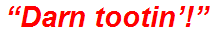“Darn tootin’!”