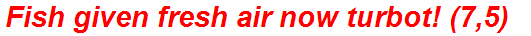 Fish given fresh air now turbot! (7,5)