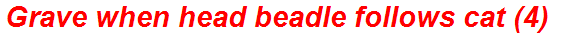 Grave when head beadle follows cat (4)