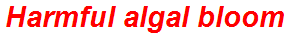 Harmful algal bloom